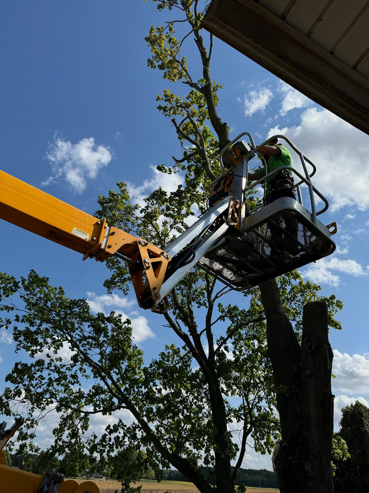tree trimming with crane by Mcqullin tree care