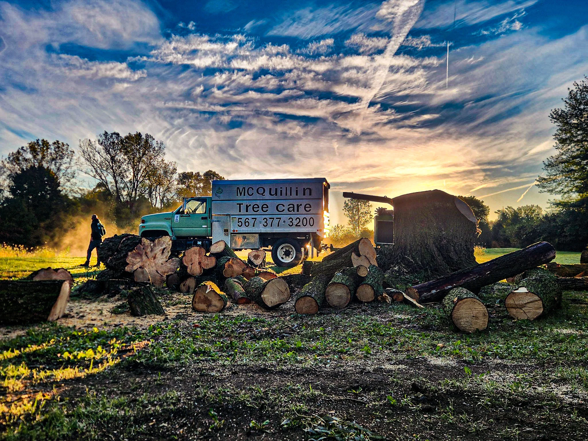 Tree removal and rigging service in Neapolis, Ohio by McQuillin Tree Care