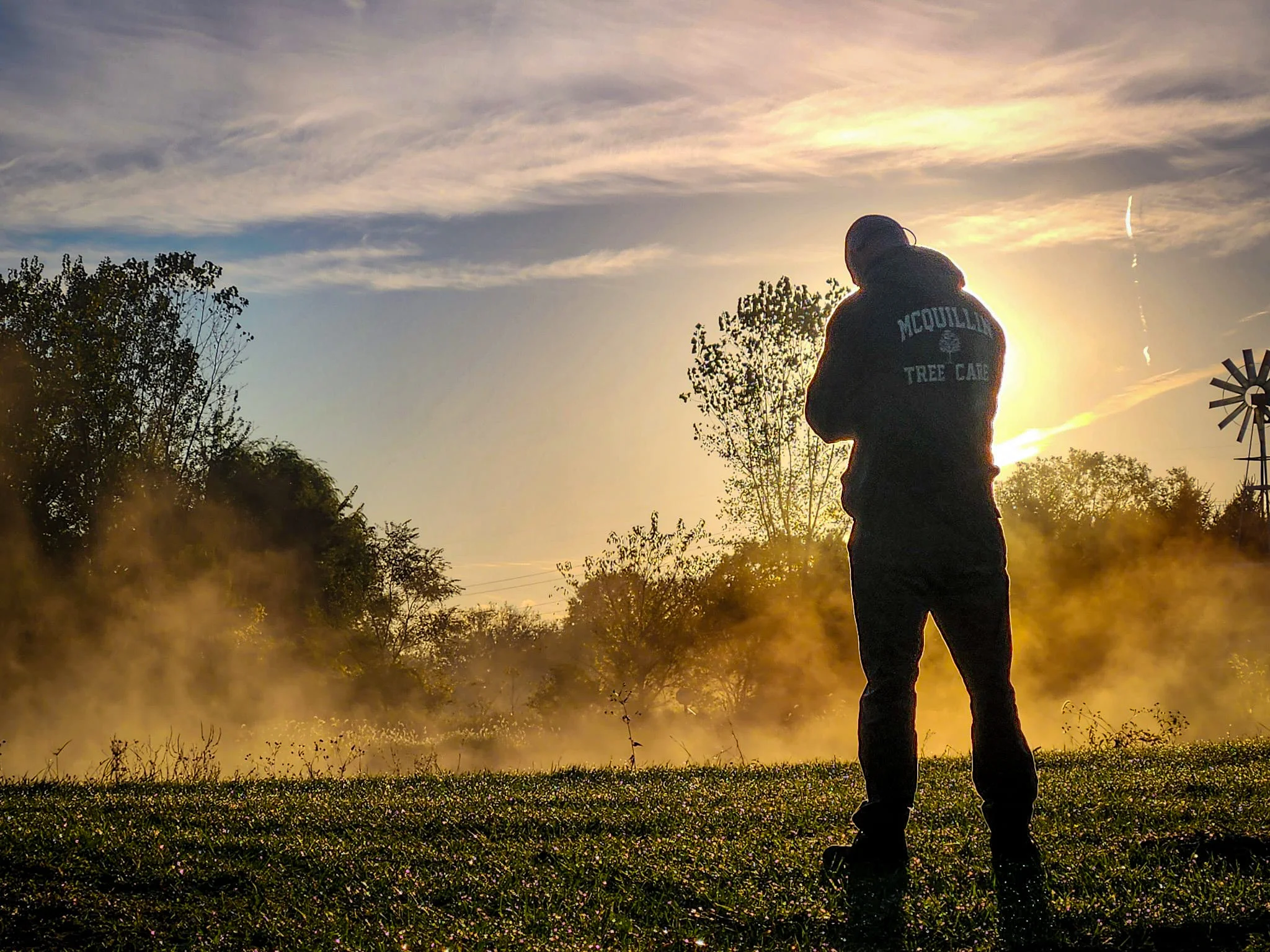 Stump grinding and removal service in Northwest Ohio by McQuillin Tree Care